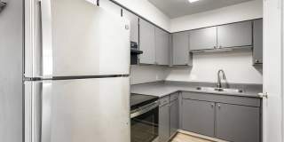 The Meadows Gallery 11