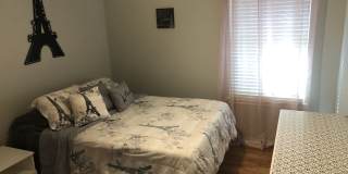 3807 Julianas Way Gallery 9