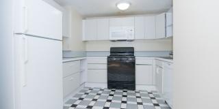 Huge Townhouse near T w Laundry in Unit!  30 Foot Ceilings in Living Room! Gallery 13