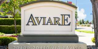 Aviare Gallery 2