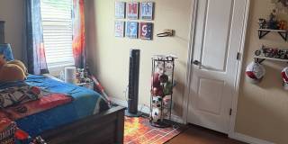 2517 Mugho Drive Gallery 22
