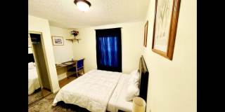 Cozy Smart 3BR 2 Bath House in Sarasota Gallery 7