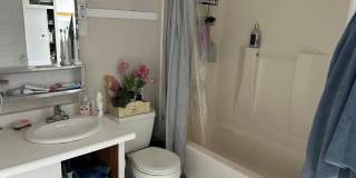 PRELEASE: Spacious 6+ bdrm/2 bath in York Neighborhood Gallery 27