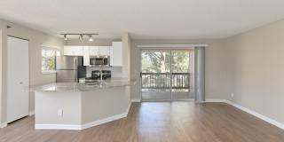 Verdant Apartment Homes Verdant Apartment Homes Gallery 16