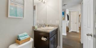 Sea Oats Sea Oats Gallery 73