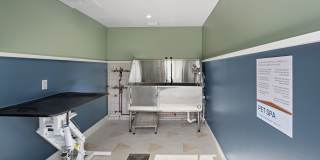 Alta Altitude Gallery 29