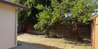 Fully Remodeled 3 Bedroom/ 2 Bathroom Duplex w/ Modern Finishes & Private Yard! Gallery 27
