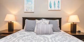 Sussex Downs Gallery 8