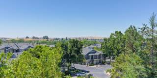 Vineyards at Valley View Gallery 13