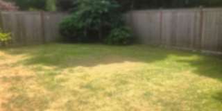 3bd/2.5ba Maple Valley Home Gallery 30