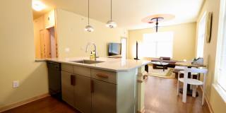 Settlement Place Gallery 40