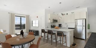 The Artemis at Arlington Heights Gallery 1