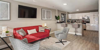 ReNEW Foothills Gallery 19