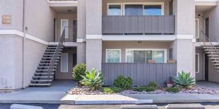 Ocean Vista Gallery 7