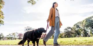 Windsor Marina Bay Gallery 36