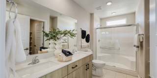 911 Cadence View Way Gallery 16