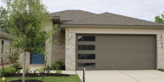 927 Lady Bird 927 Lady Bird Gallery 1