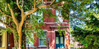 1358 South 2nd Street - 4 Gallery 2