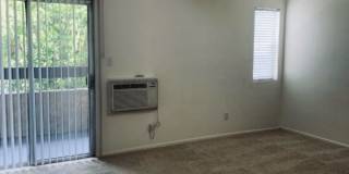 Villa Del Sol Gallery 12