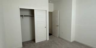 PET FRIENDLY Gallery 29
