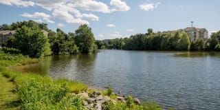 Avalon Reston Landing Gallery 34