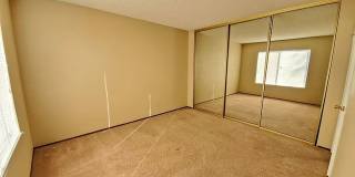 Rare 3 Bed / 2 Bath with Huge Backyard! Gallery 8