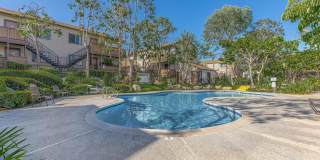 Harbor Pointe Apartments Gallery 1