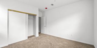 Avana Lexington Gallery 44