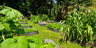 Franklin Park at Greenbelt Station Gallery 26