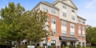 Sofi Lyndhurst Gallery 32