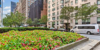 530 Park Avenue Gallery 14