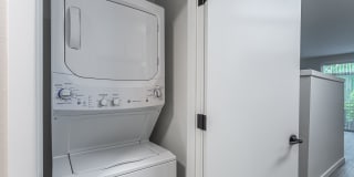 Cannery Row Gallery 31