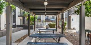 Fountain Plaza Gallery 20