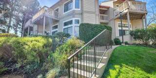 3428 Smoketree Commons Dr Gallery 1