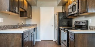 The Oswegan Gallery 1