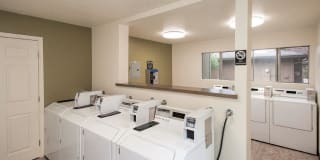 Driftwood Apartments Gallery 24