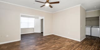 Houston Lake Gallery 17