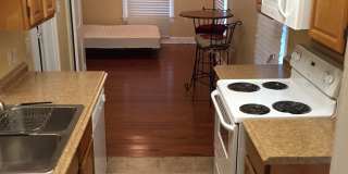 Seasons at Midtown Gallery 4