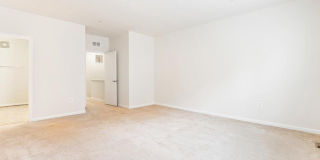 20532 MILBRIDGE Terrace Gallery 19
