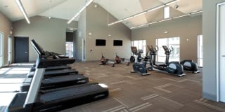 Luxembourg Gallery 9