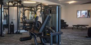 Solis Gainesville Gallery 34