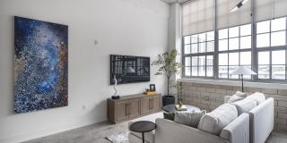 Plant 64 Gallery 5
