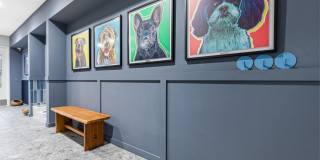 The Reese Gallery 51