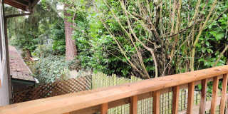 Forest Canyon Village Apartments Gallery 47