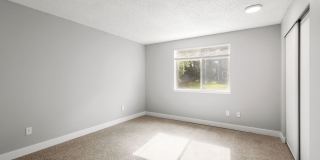 Avana Star Lake Gallery 42