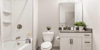 Lector 85 Gallery 14