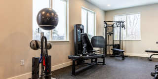 Paugus Woods Gallery 51