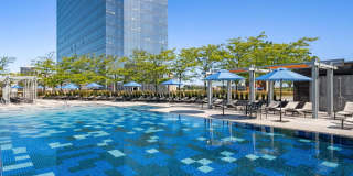 The Modern Gallery 46