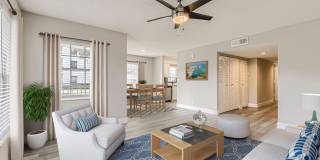 Boynton Place Gallery 18