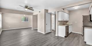 605 W Hutchison Gallery 6